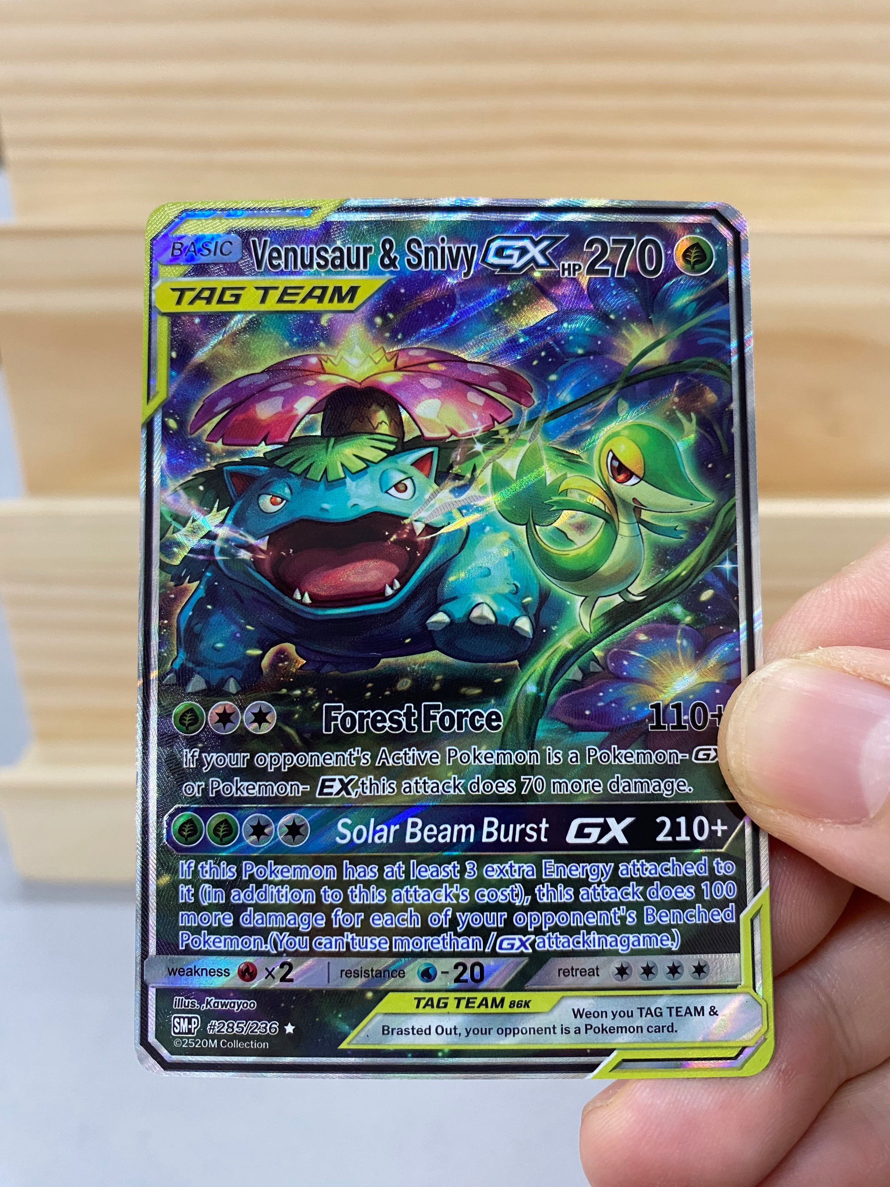 Venusaur&Snivy GX--Y034