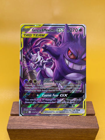 Gengar & Mewtwo--Y330