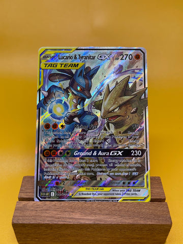 Lucario & Tyranitar--Y338