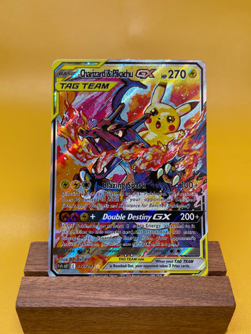 Charizard & Pikachu--Y340