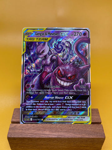 Gengar & Mewtwo--Y346