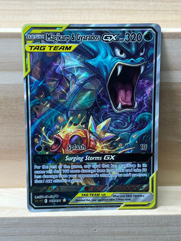 Magikarp & Gyarados GX*-Y503