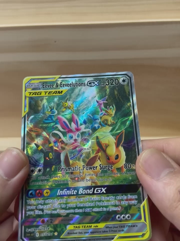 Eevee & Eeveelutions GX*-Y606