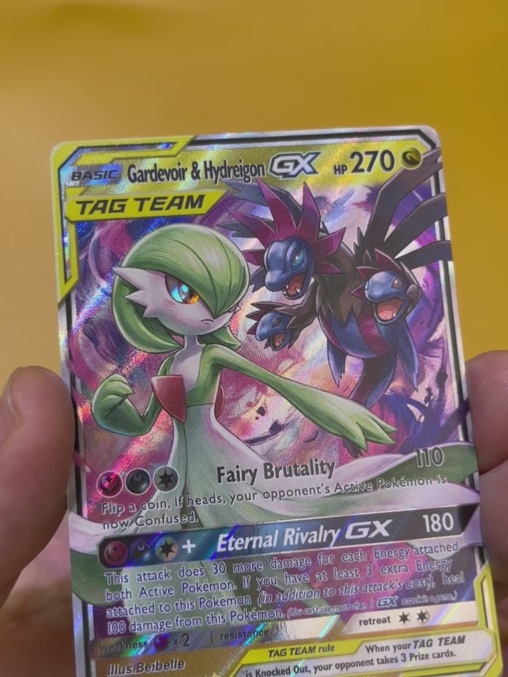 Gardevoir & Hydreigon--Y329
